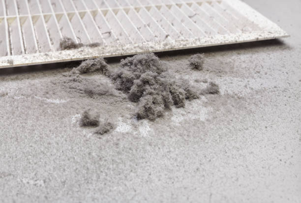 Best General Air Duct Cleaning  in Capitol View, SC