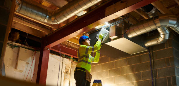 Best Air Duct Mold Removal  in Capitol View, SC