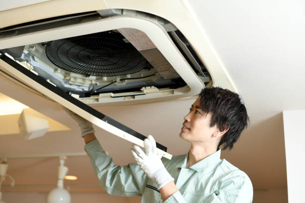 Best Emergency Air Duct Cleaning  in Capitol View, SC